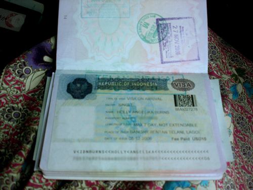 indovisa